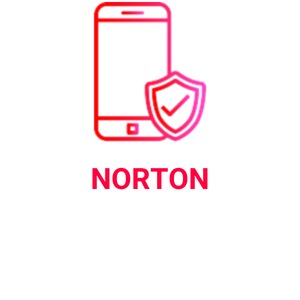 NORTON (6)